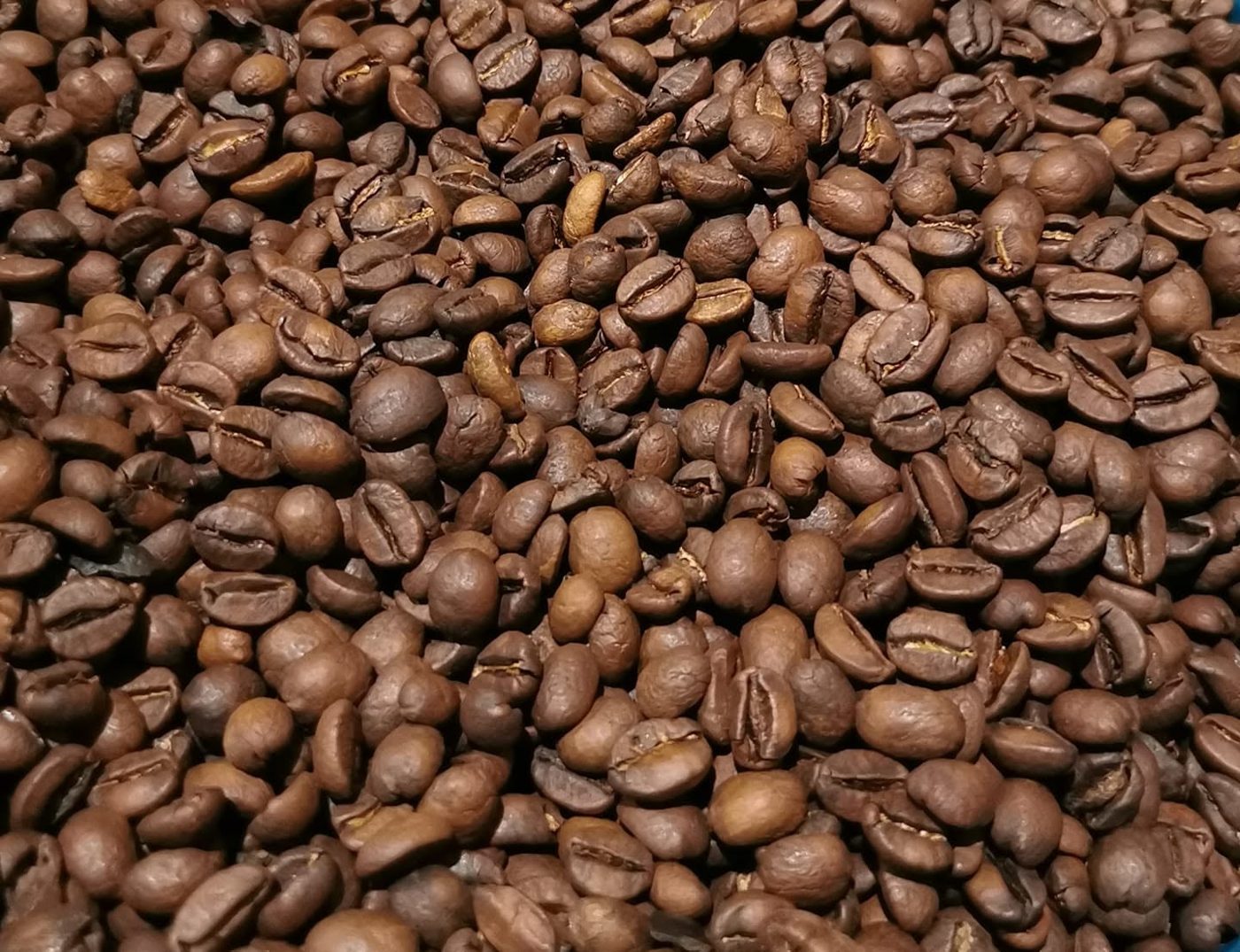 Granos de café recién tostados